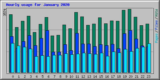 Hourly usage for January 2020