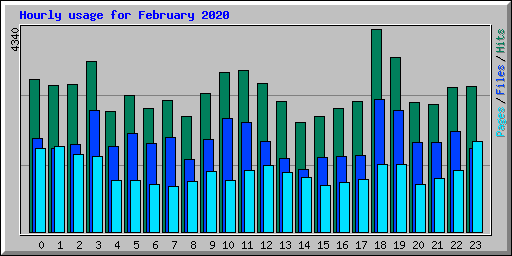 Hourly usage for February 2020